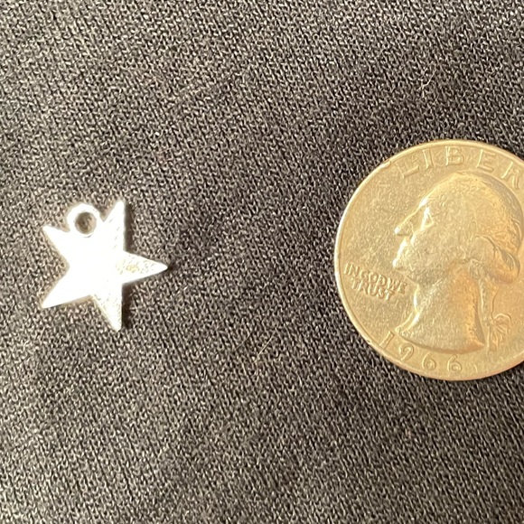 💙💛🤍💚❤️OES 👑 Order of the Eastern Star CHARM - Silver Tone 💙💛🤍💚❤️ - Picture 4 of 5